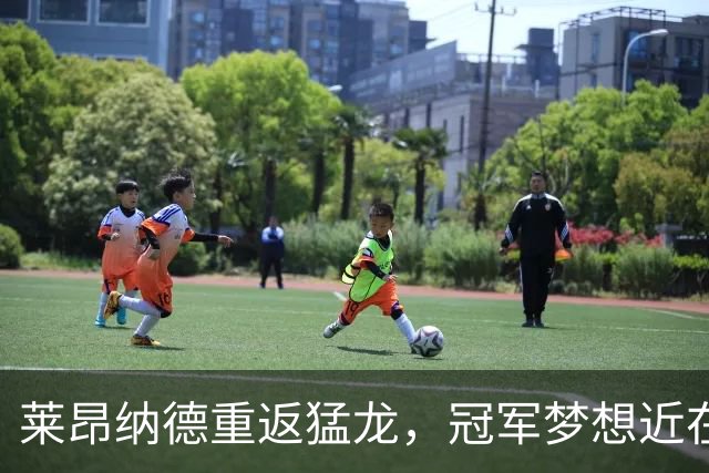 莱昂纳德重返猛龙，冠军梦想近在咫尺！